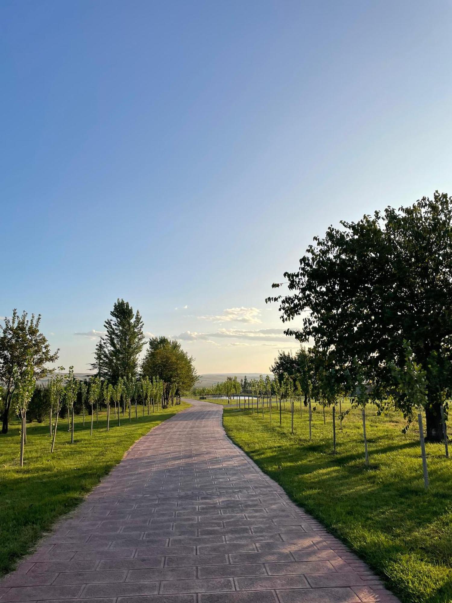 Ambassadori Kachreti Golf Resort, Kakheti Kachreti Villa *